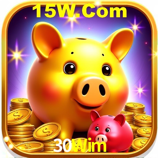 Interface Premium 30Wim