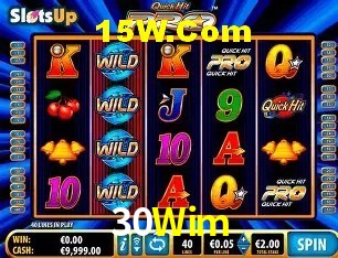 30Wim Salvador - Strategy